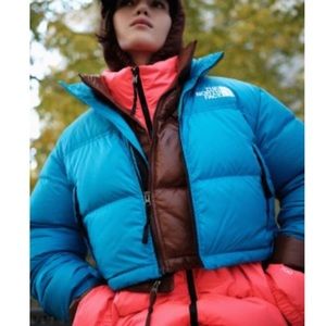 the north face 700 puffer